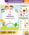 LKG EVS Printable Worksheets | 62 Fun Activity Pages | Screen-Free Learning