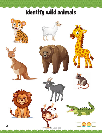 LKG Printable Worksheet | EVS, Math, English & Coloring | 290 Worksheets