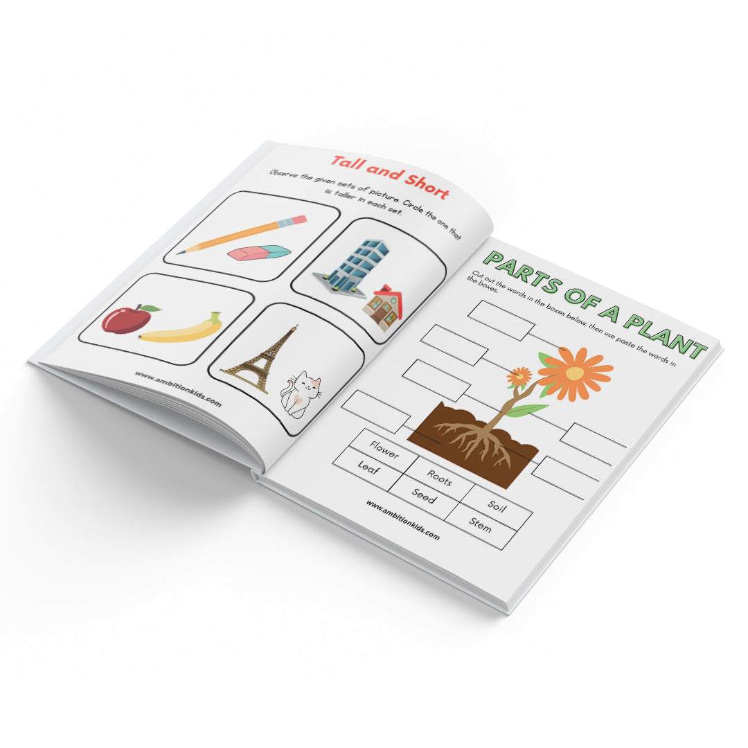 LKG & Brain Booster Combo + 200+ Worksheets (4–6 Yrs)