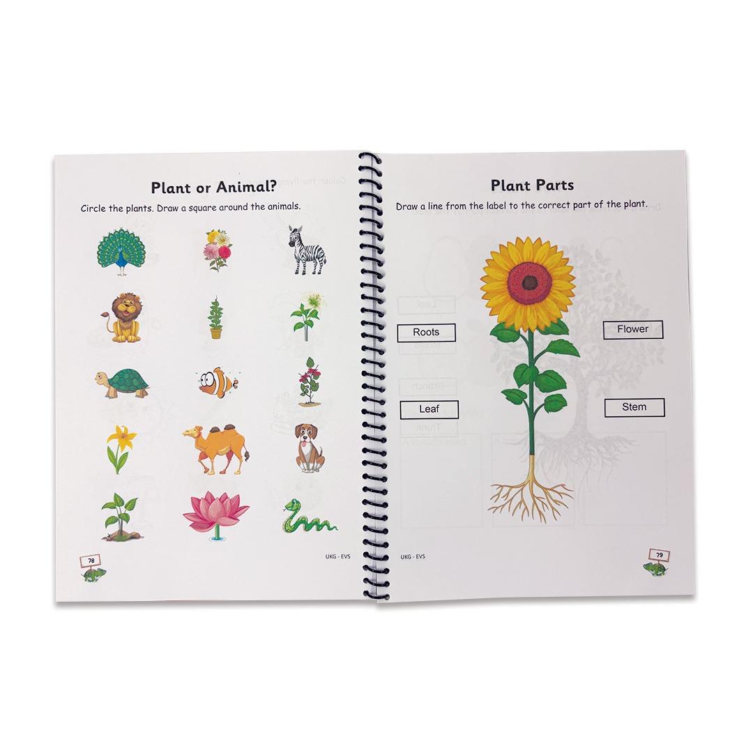 UKG & Brain Booster Worksheets (4 Books)