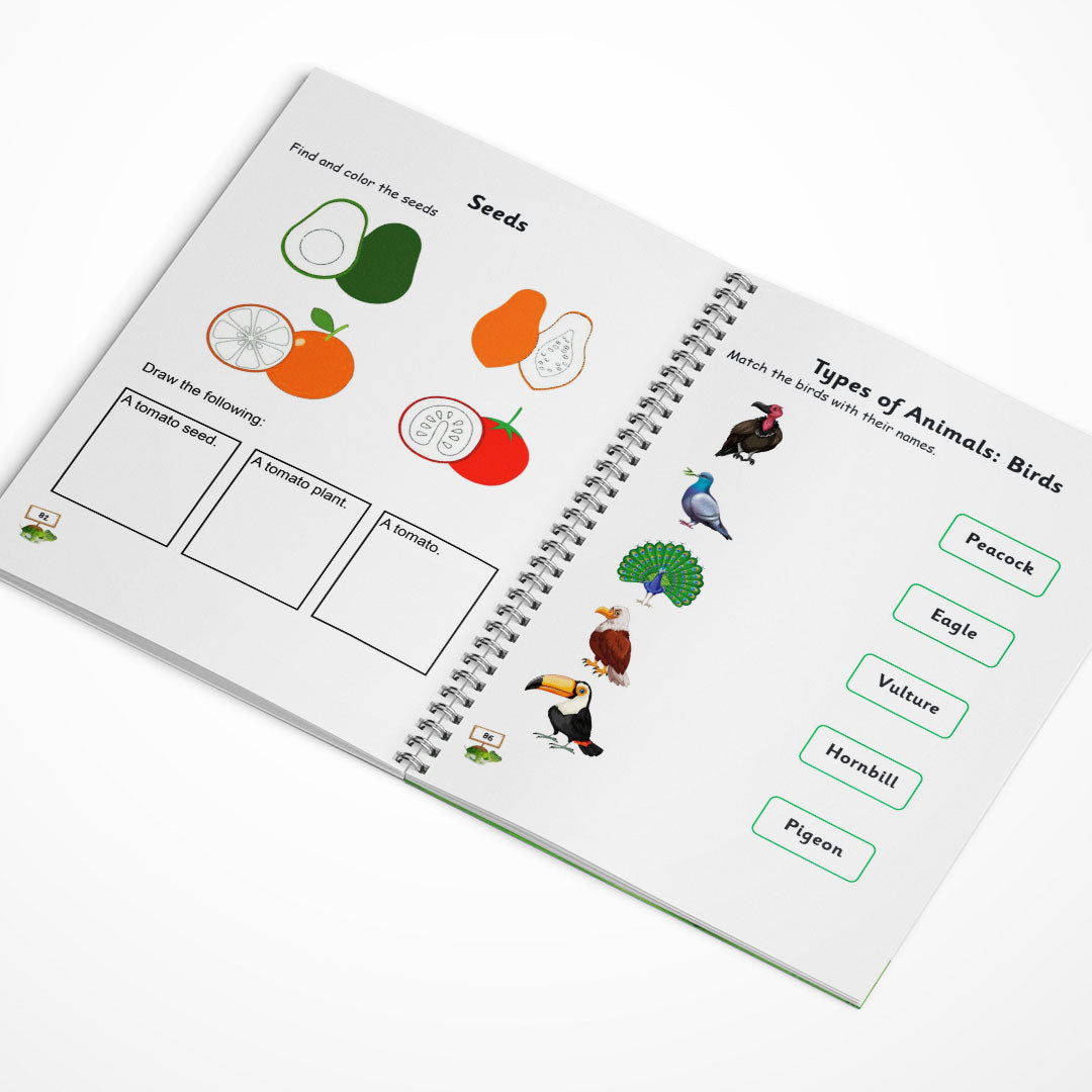 UKG & Brain Booster Worksheets – 4-Book Set (Ages 5–7)  ✅